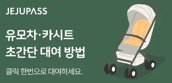 1747121030.2541.webp