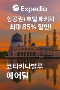 1747211116.160685 .webp